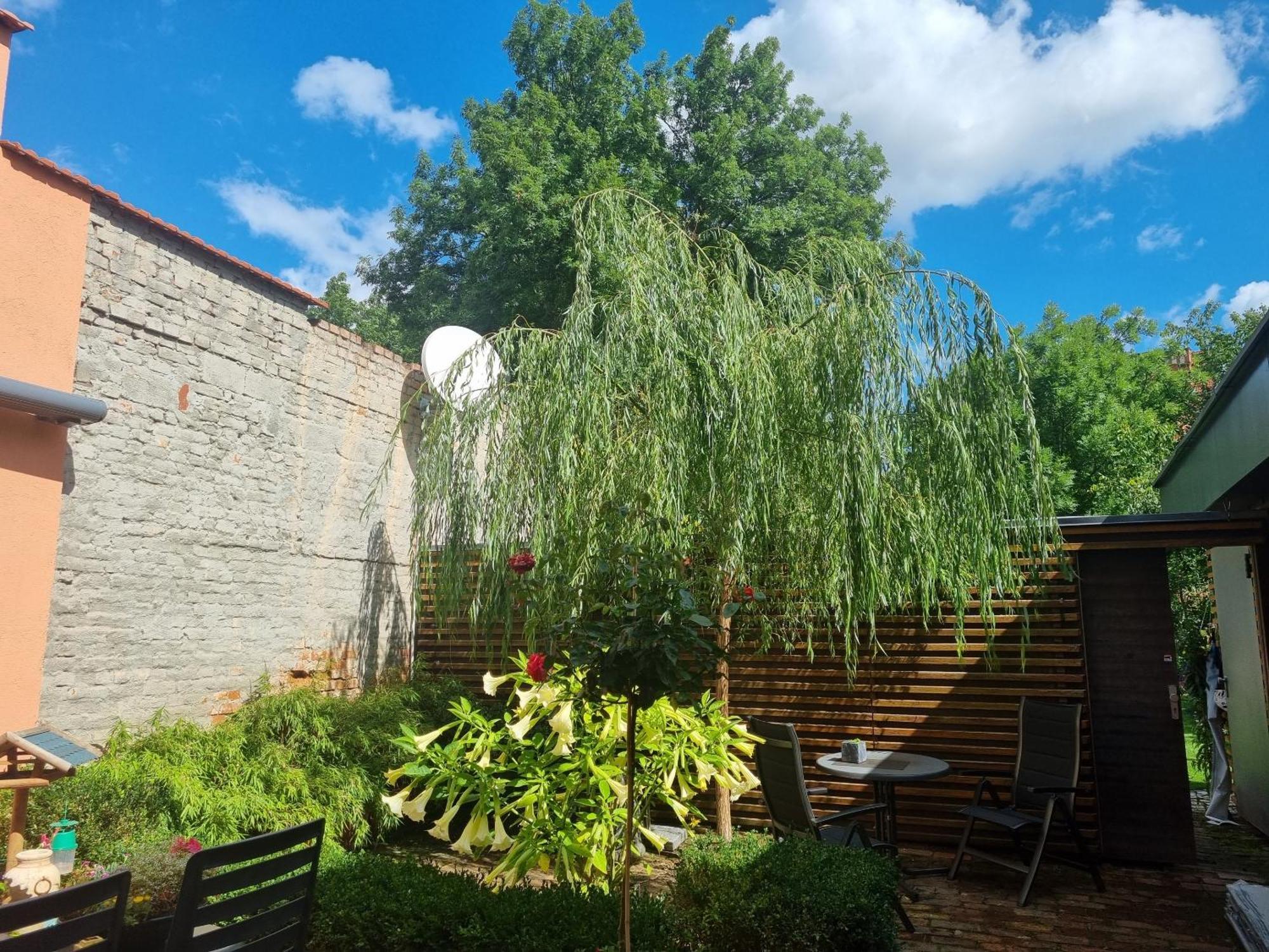 Apartments Junger-Moritz Erfurt Room photo